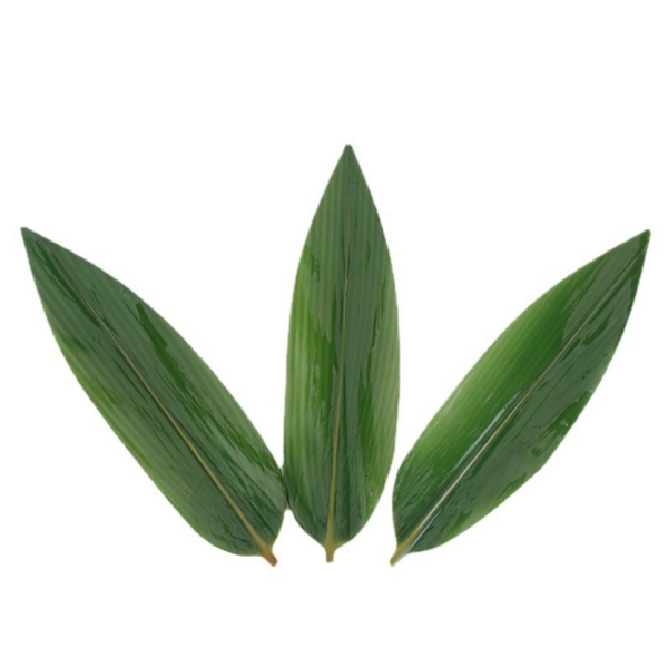 Disposable bamboo sushi leaf used for decoration food and table decoration